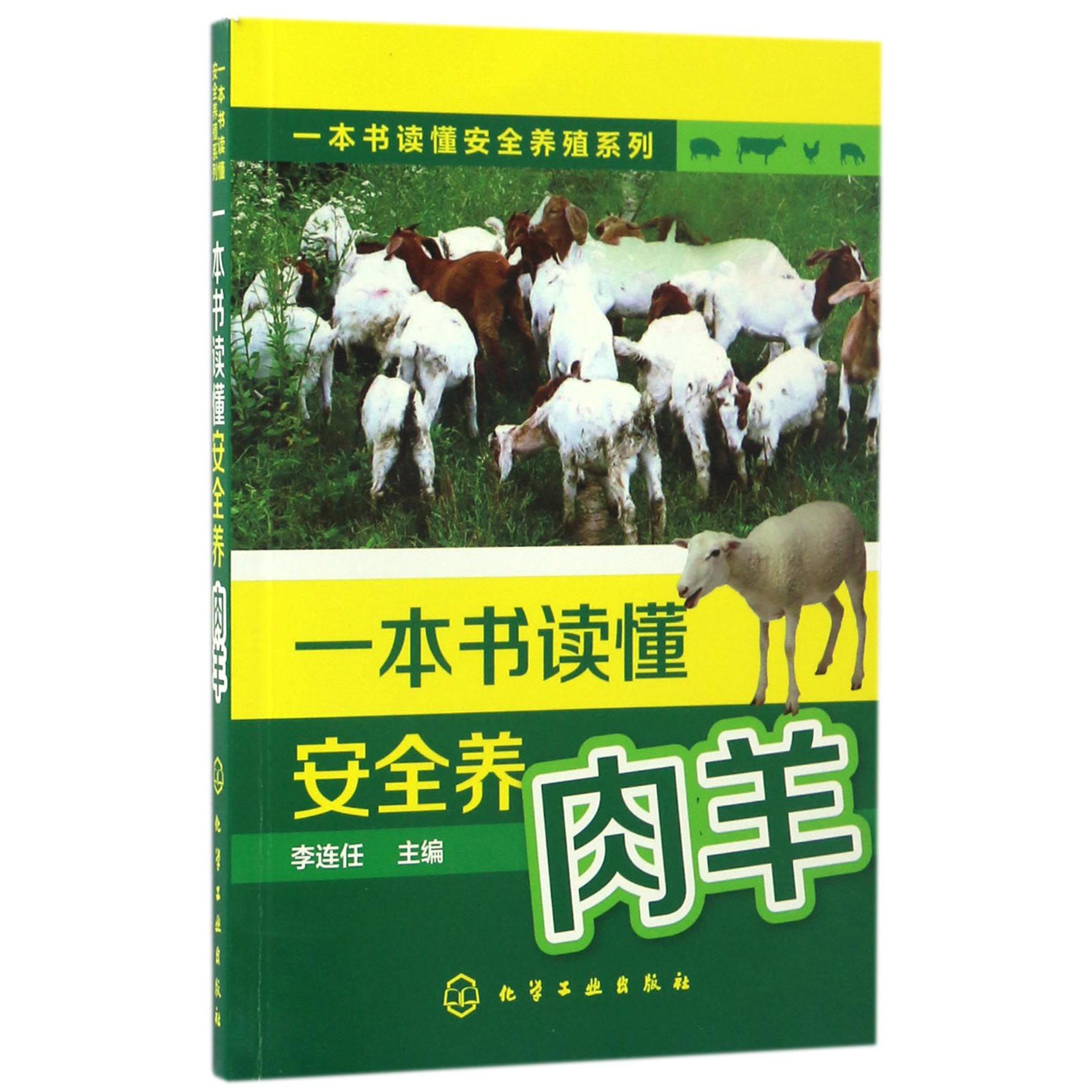 一本书读懂安全养肉羊/一本书读懂安全养殖系列