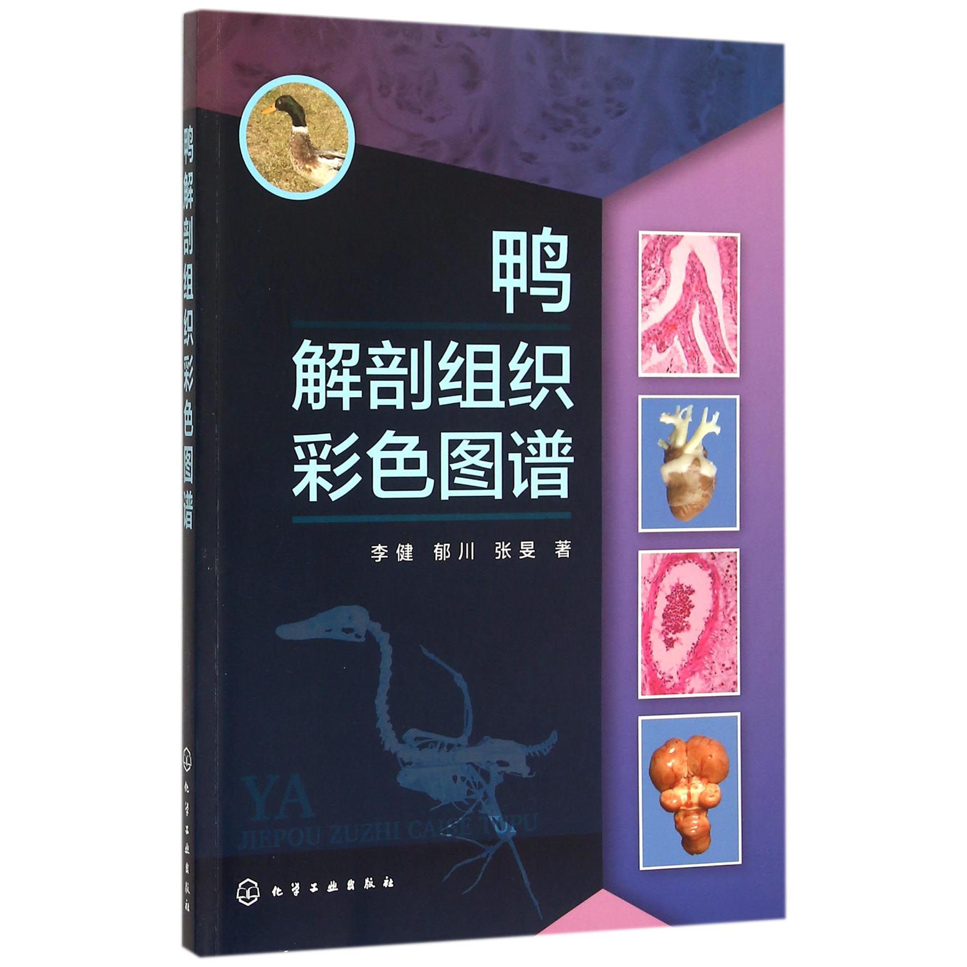 鸭解剖组织彩色图谱