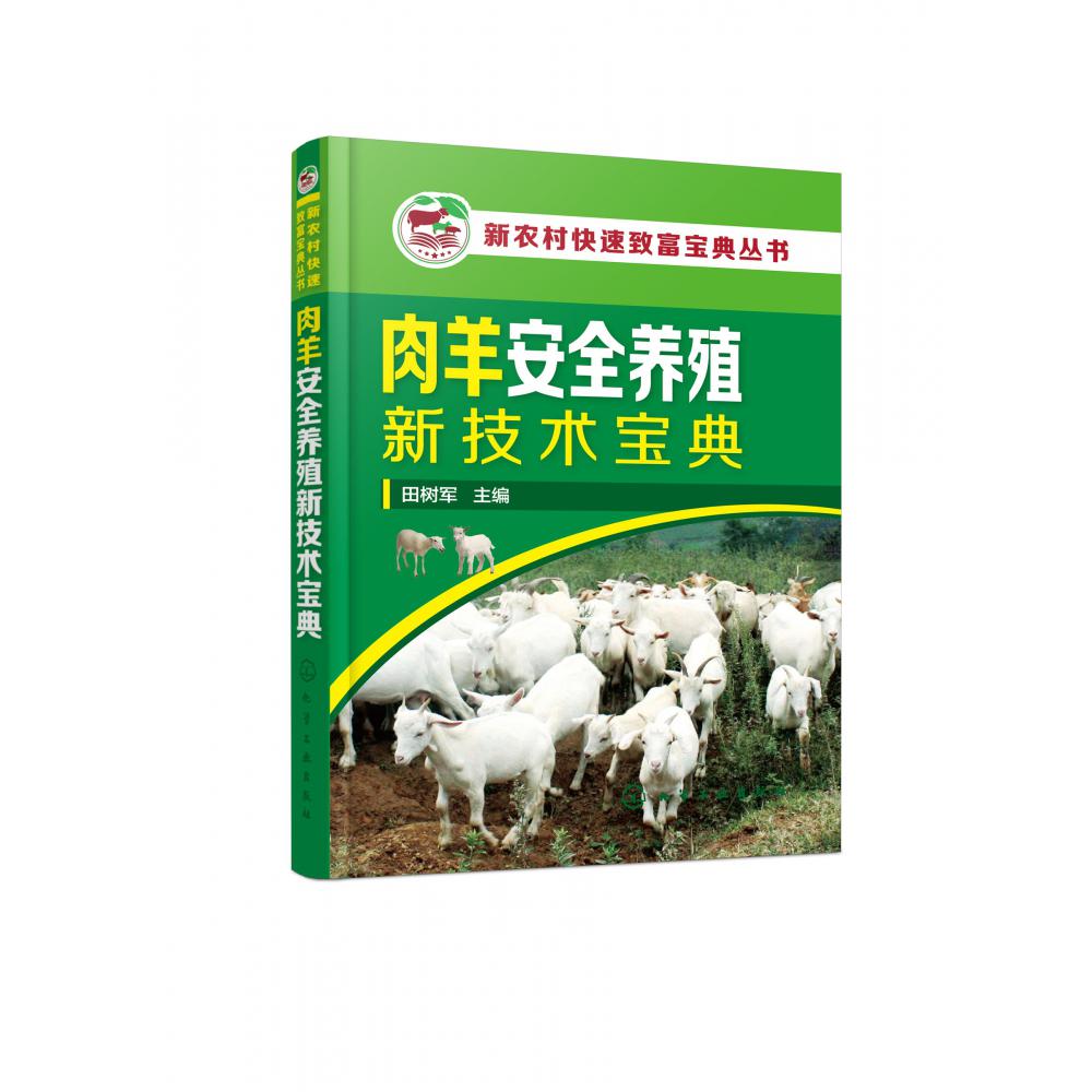 肉羊安全养殖新技术宝典/新农村快速致富宝典丛书