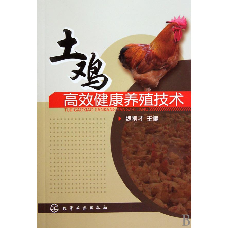 土鸡高效健康养殖技术