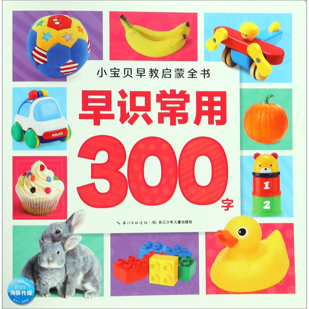 早识常用300字/小宝贝早教启蒙全书