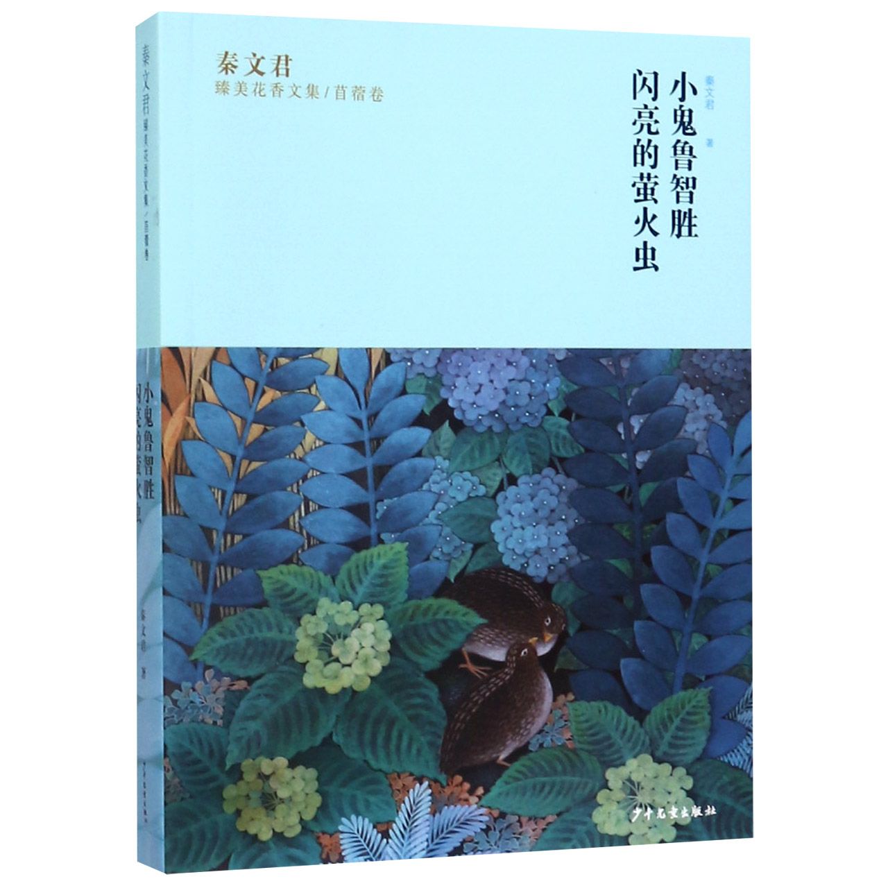 小鬼鲁智胜闪亮的萤火虫/秦文君臻美花香文集