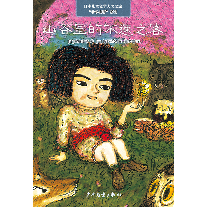 山谷里的不速之客/小小山神系列/日本儿童文学大奖之旅