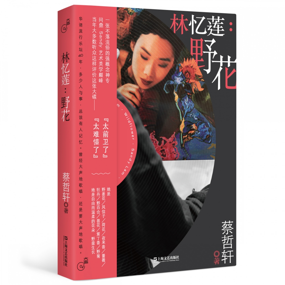 林忆莲--野花/大声