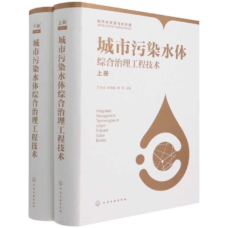 城市污染水体综合治理工程技术(上下)(精)