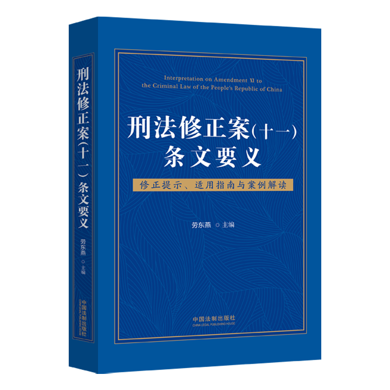 刑法修正案<十一>条文要义(修正提示适用指南与案例解读)