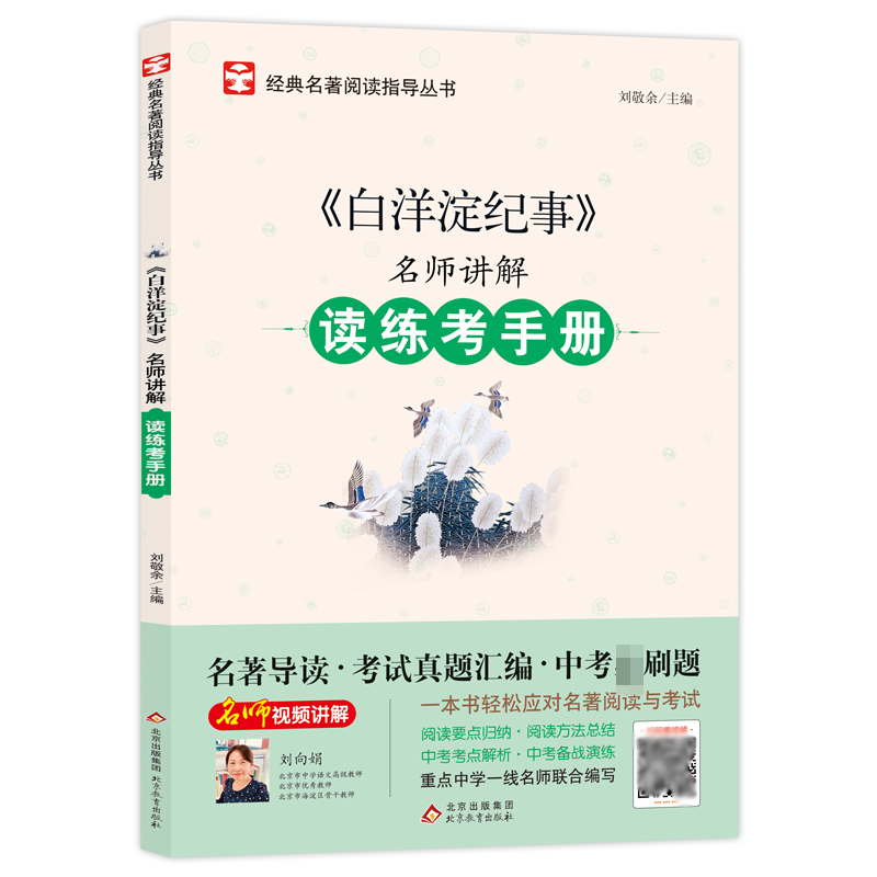 名师讲解读练考手册《白洋淀纪事》