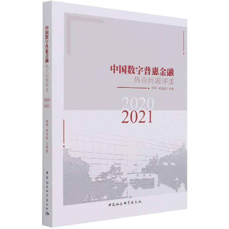 中国数字普惠金融热点问题评述(2020-2021)