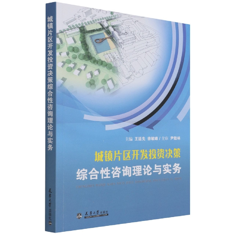 城镇片区开发投资决策综合性咨询理论与实务