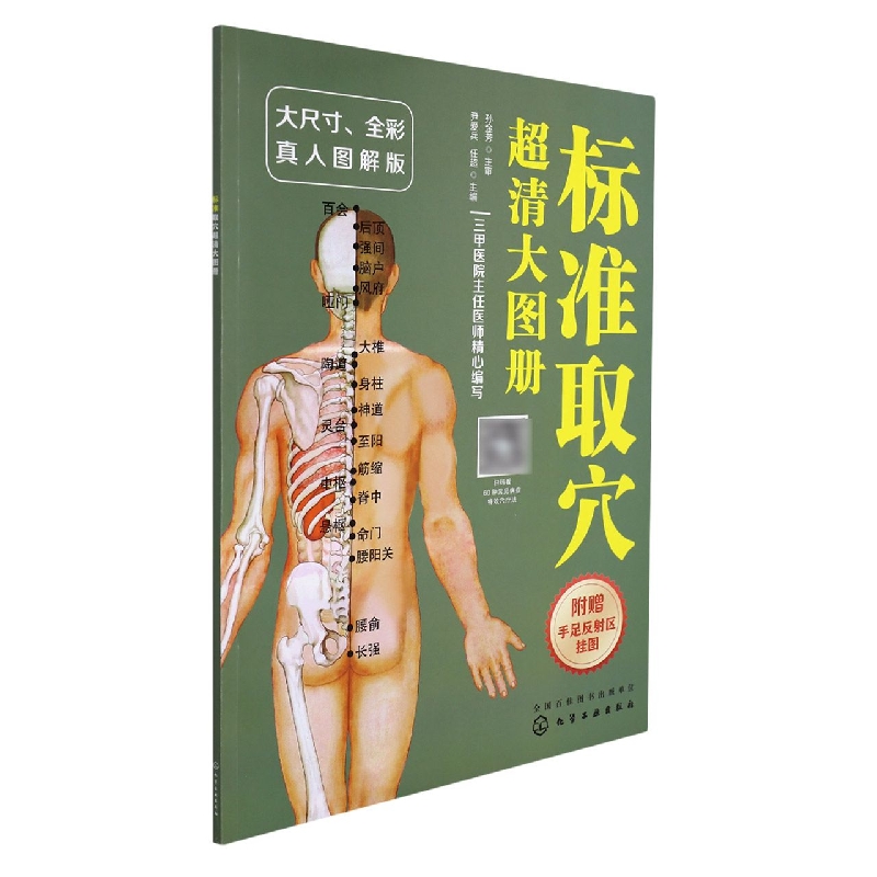 标准取穴超清大图册