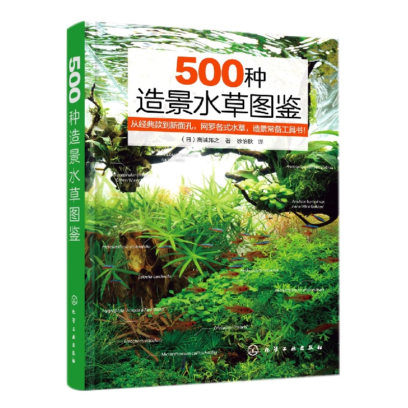 500种造景水草图鉴