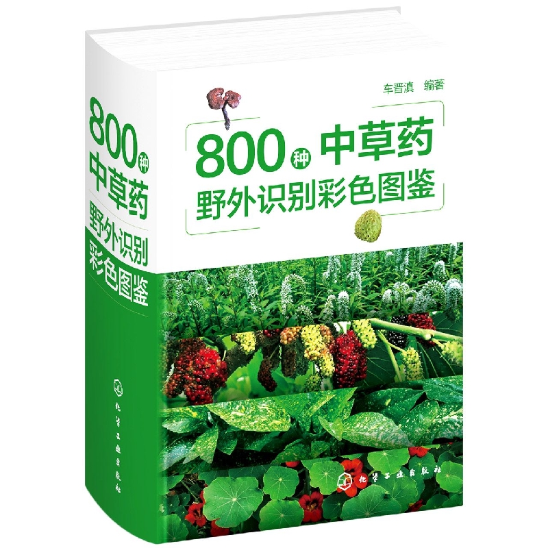800种中草药野外识别彩色图鉴