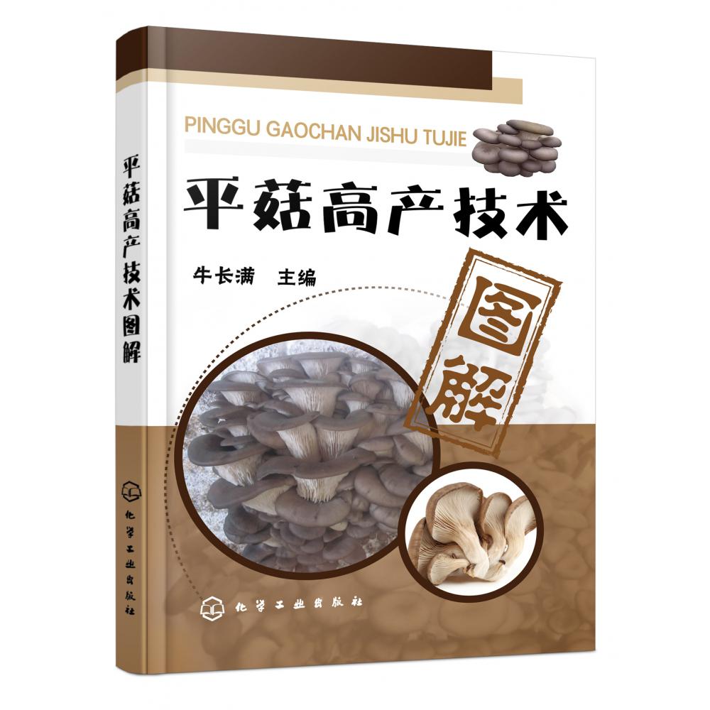 平菇高产技术图解