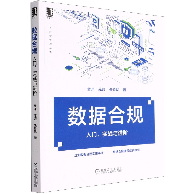 数据合规(入门实战与进阶)/大数据管理丛书