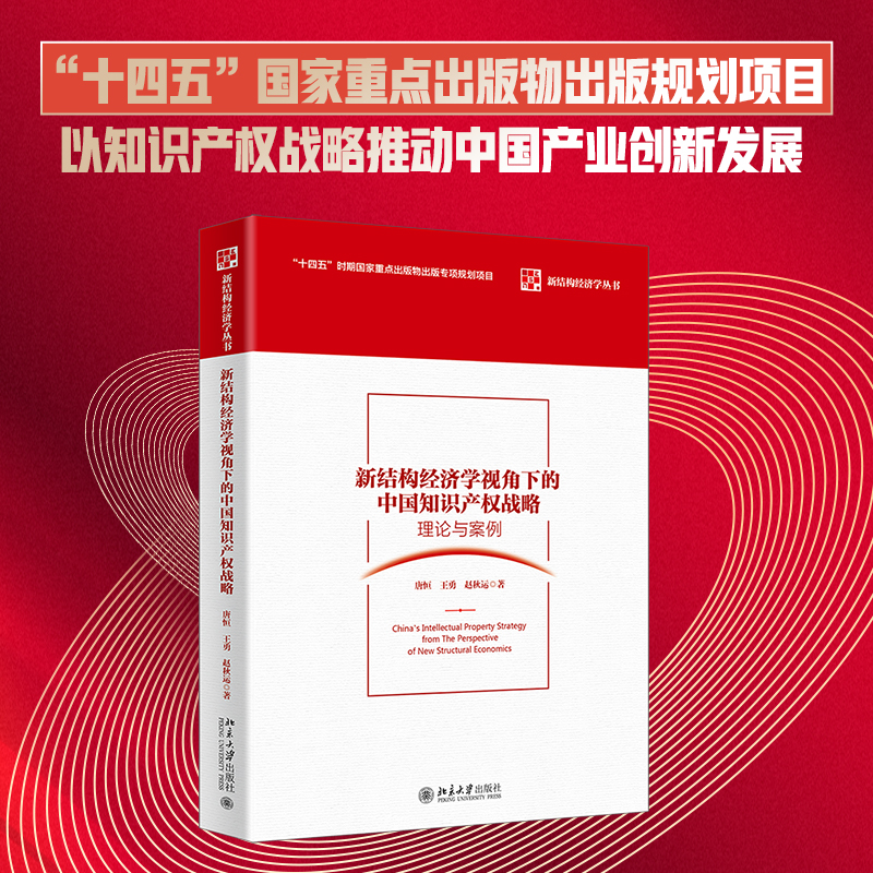 新结构经济学视角下的中国知识产权战略：理论与案例