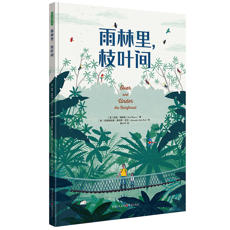 雨林里,枝叶间