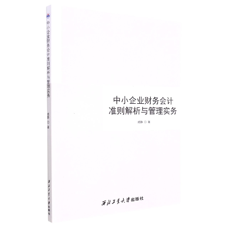 中小企业财务会计准则解析与管理实务