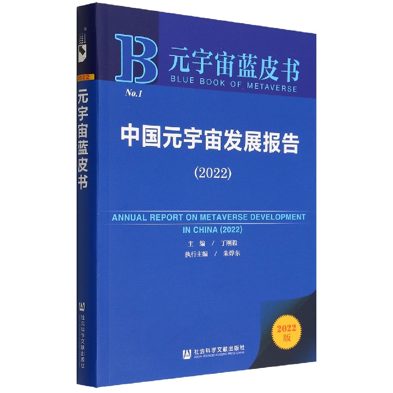 中国元宇宙发展报告（2022）/元宇宙蓝皮书