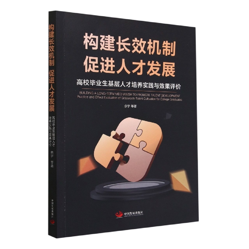 构建长效机制促进人才发展(高校毕业生基层人才培养实践与效果评价)