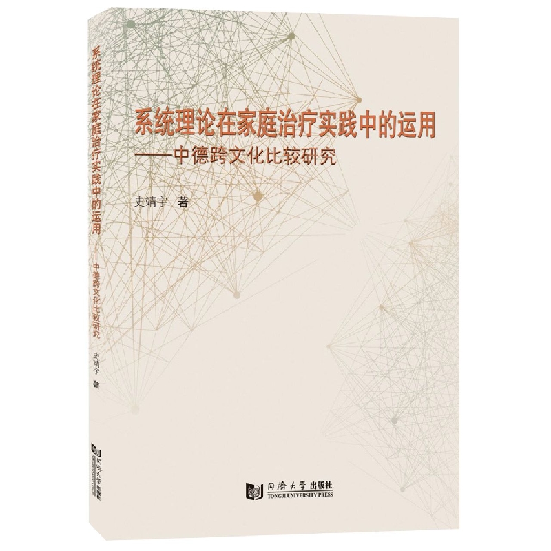 系统理论在家庭治疗实践中的运用