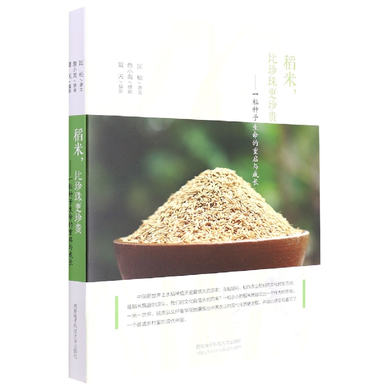 稻米比珍珠更珍贵--一粒种子生命的重启与成长