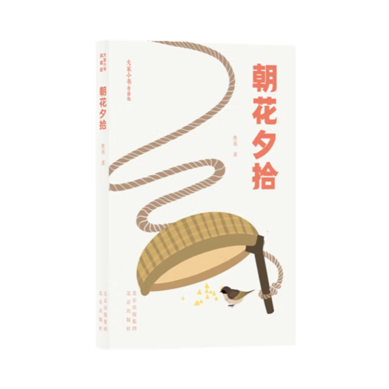 大家小书青春版 朝花夕拾