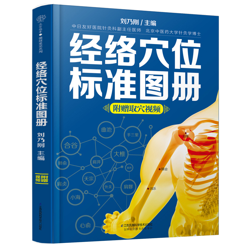 经络穴位标准图册