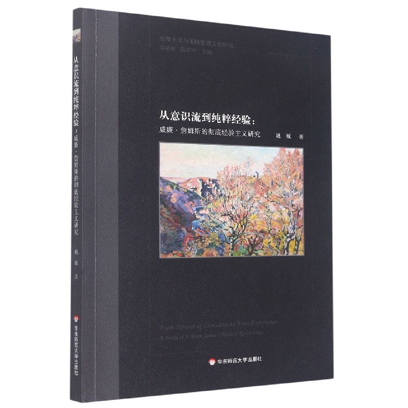 从意识流到纯粹经验：威廉·詹姆斯的彻底经验主义研究