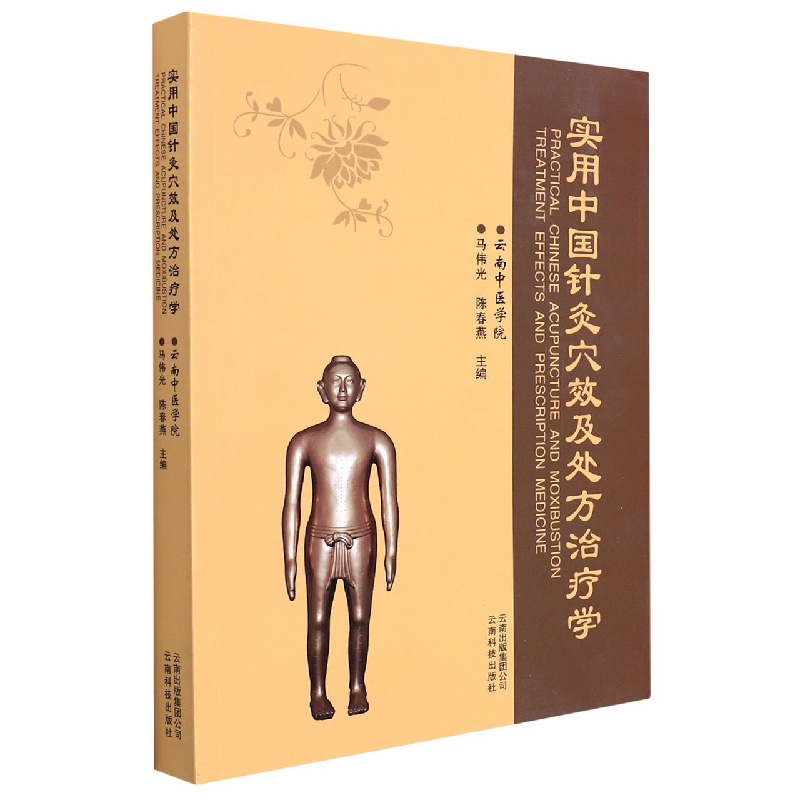实用中国针灸穴效及处方治疗学/dx