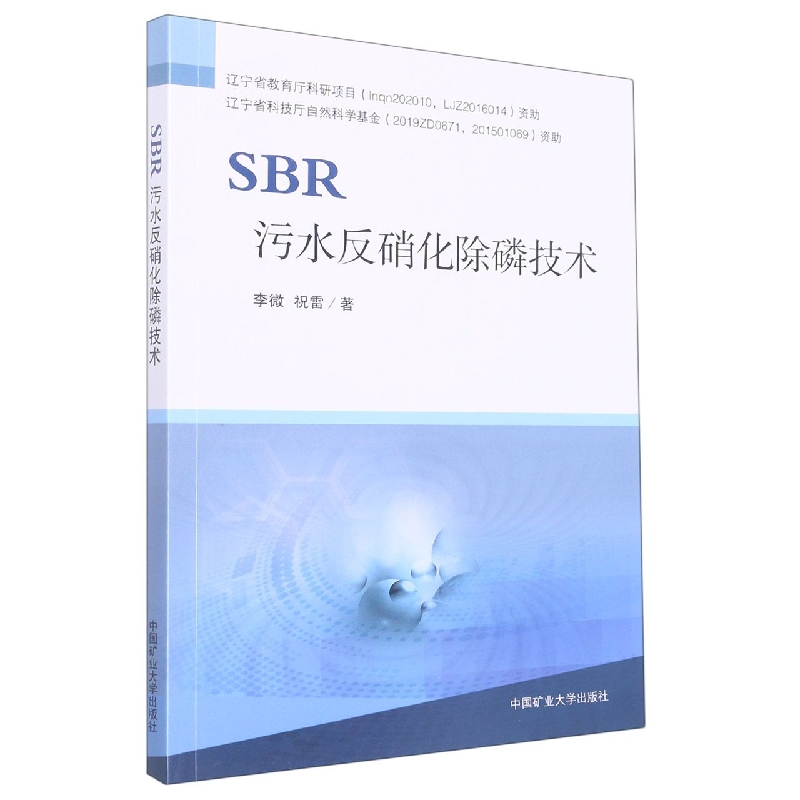 SBR污水反硝化除磷技术