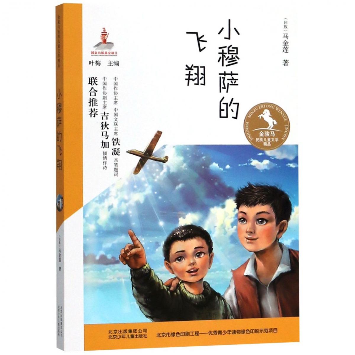 小穆萨的飞翔/金骏马民族儿童文学精品