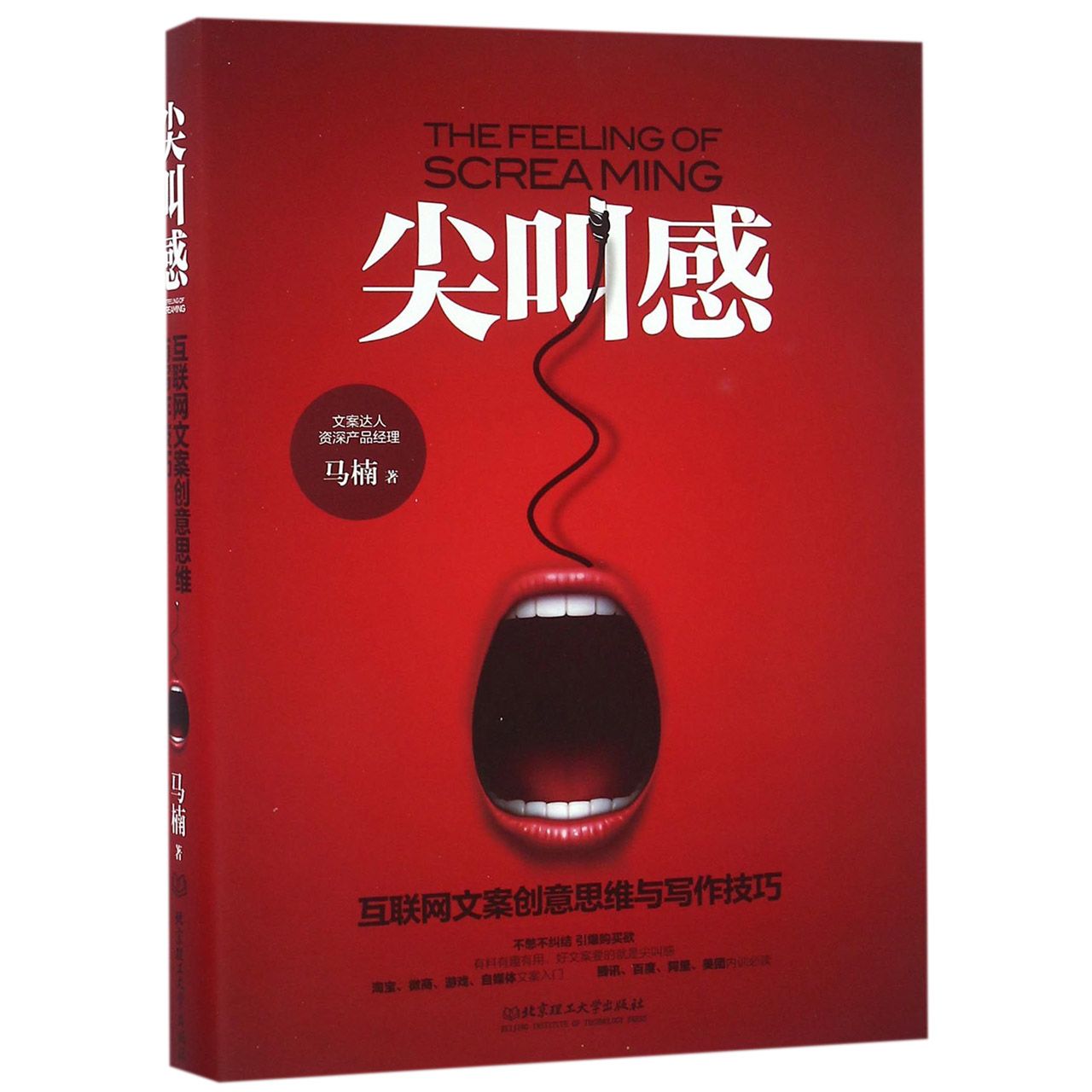 尖叫感(互联网文案创意思维与写作技巧)