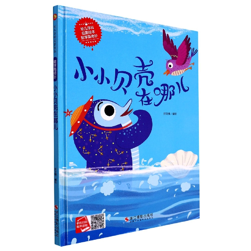 小小贝壳在哪儿