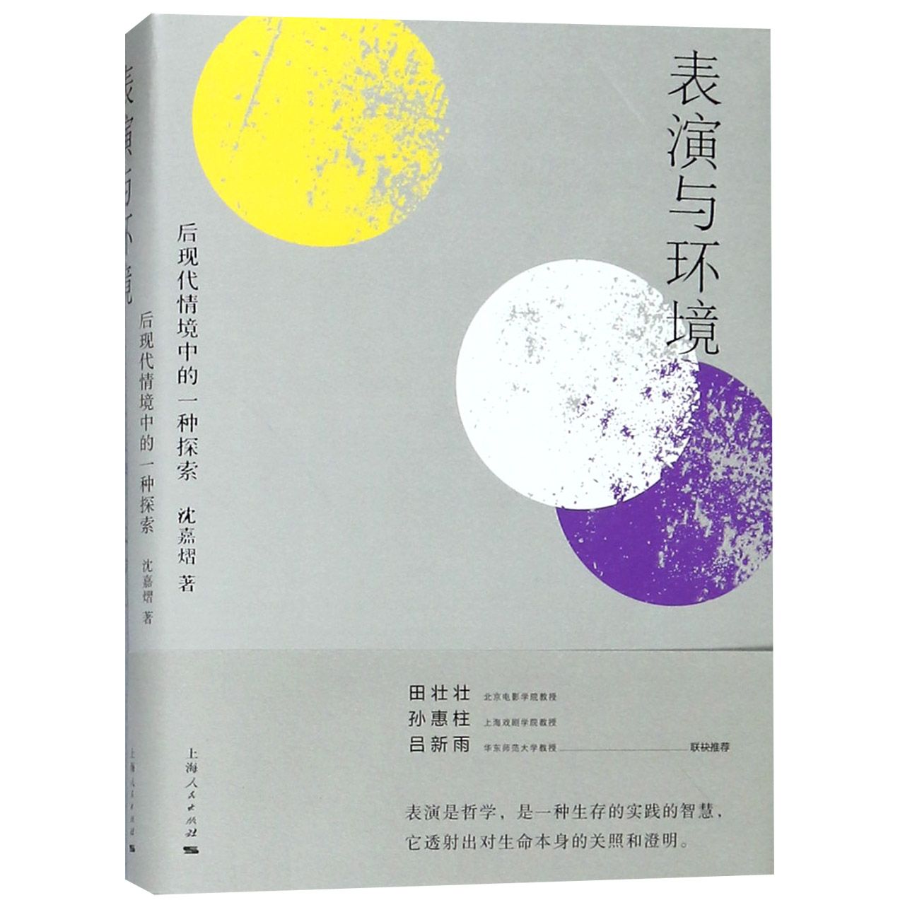 表演与环境（后现代情境中的一种探索）（精）