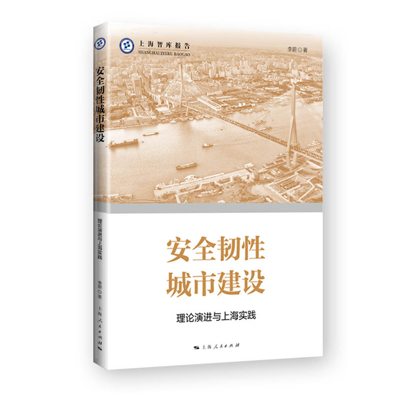 安全韧性城市建设