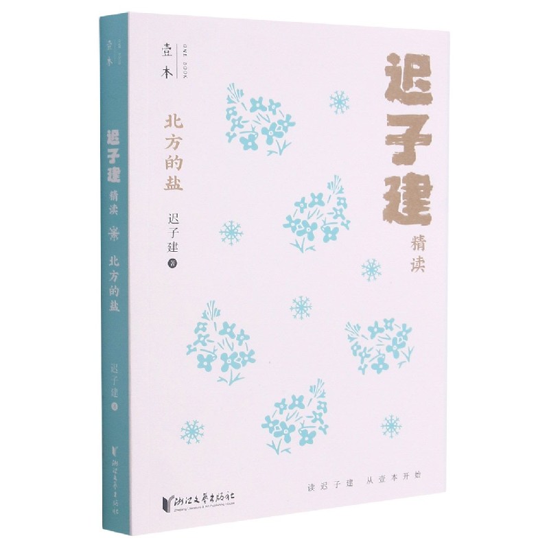 北方的盐(迟子建精读)/壹本