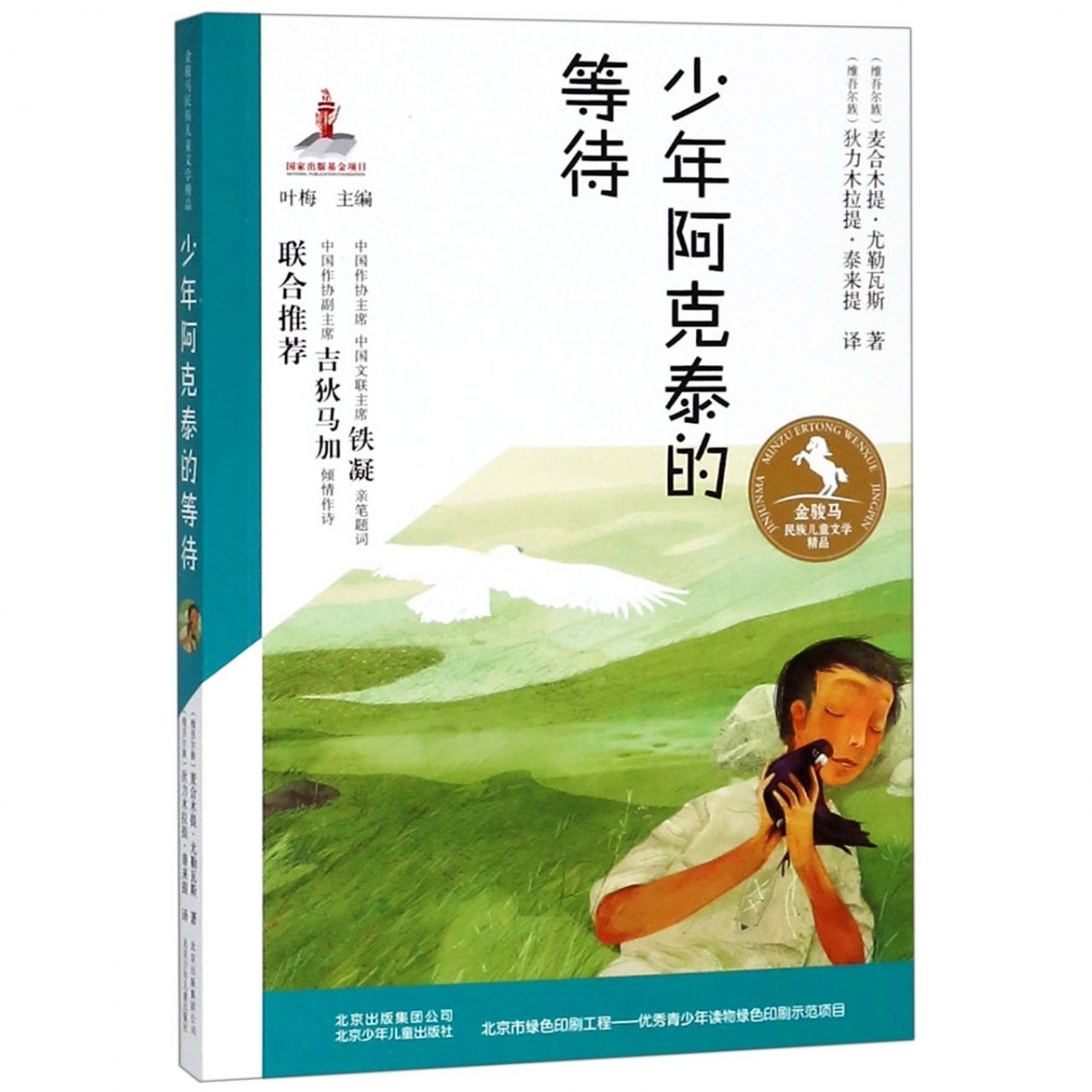 少年阿克泰的等待/金骏马民族儿童文学精品