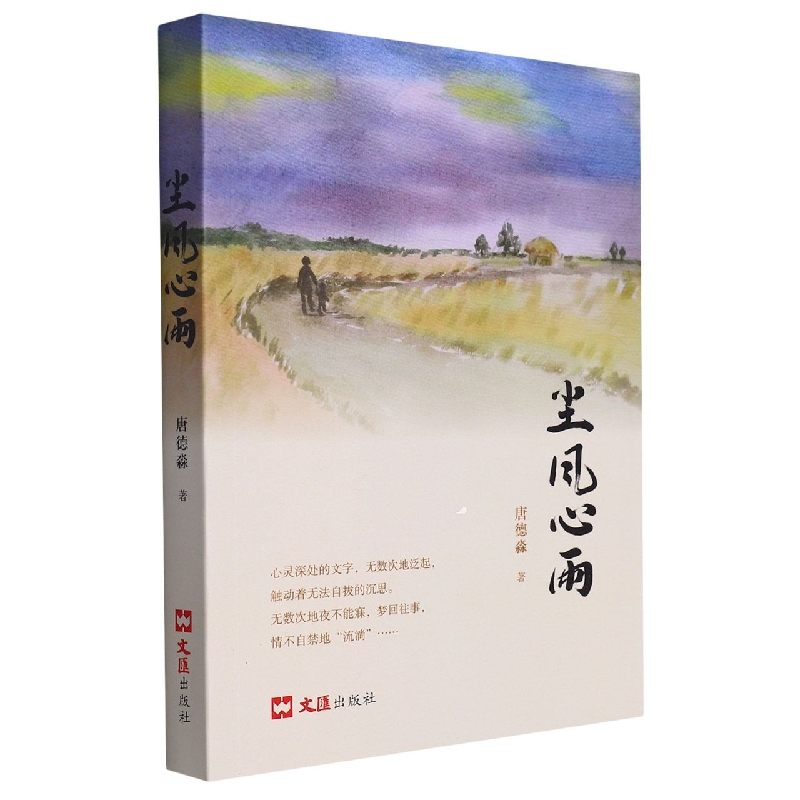 尘风心雨