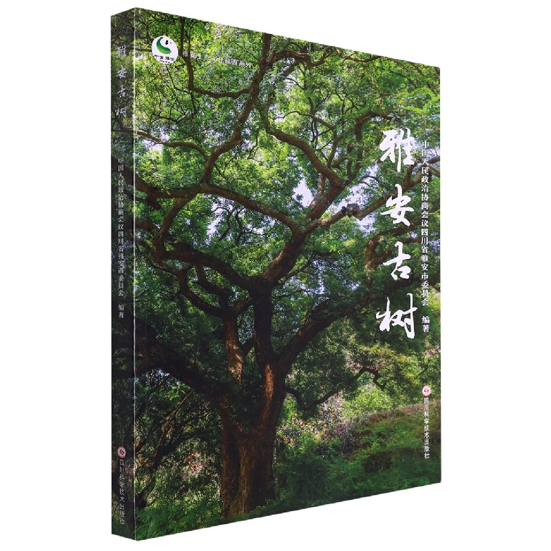雅安古树