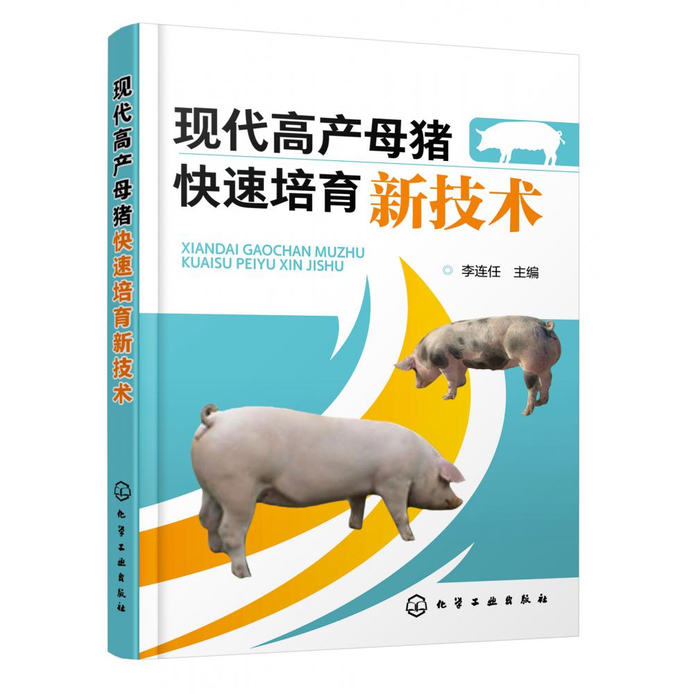 现代高产母猪快速培育新技术
