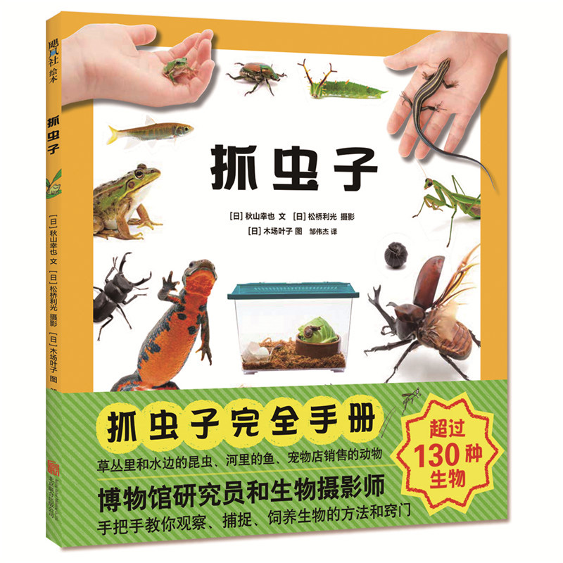 抓虫子