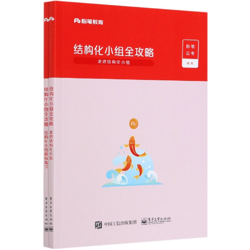 结构化小组全攻略(共2册)