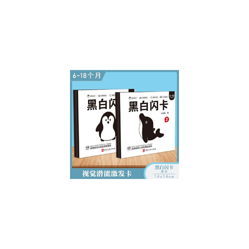 黑白闪卡1小卡