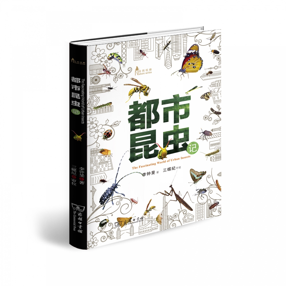 都市昆虫记/自然观察