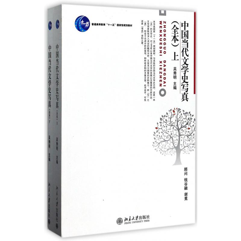 中国当代文学史写真(全本上下普通高等教育十一五国家级规划教材)