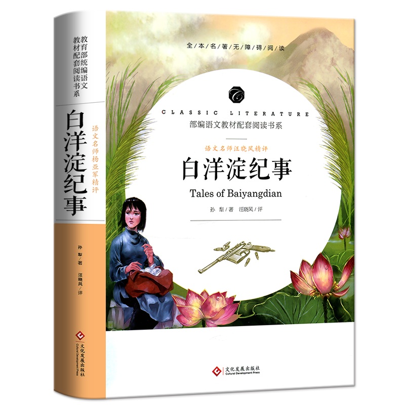 语文教材配套阅读书系-语文名师汪晓风精评白洋淀纪事