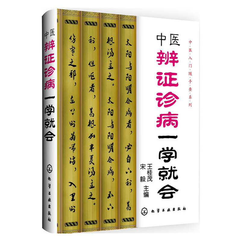 中医辨证诊病一学就会/中医入门随手查系列