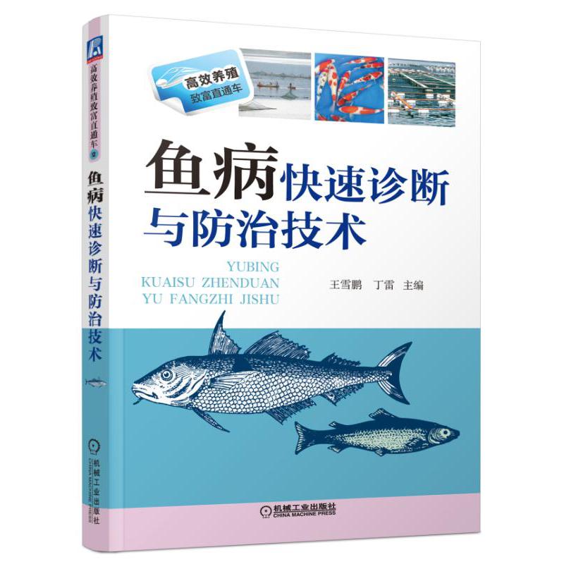 鱼病快速诊断与防治技术(双色印刷)/高效养殖致富直通车