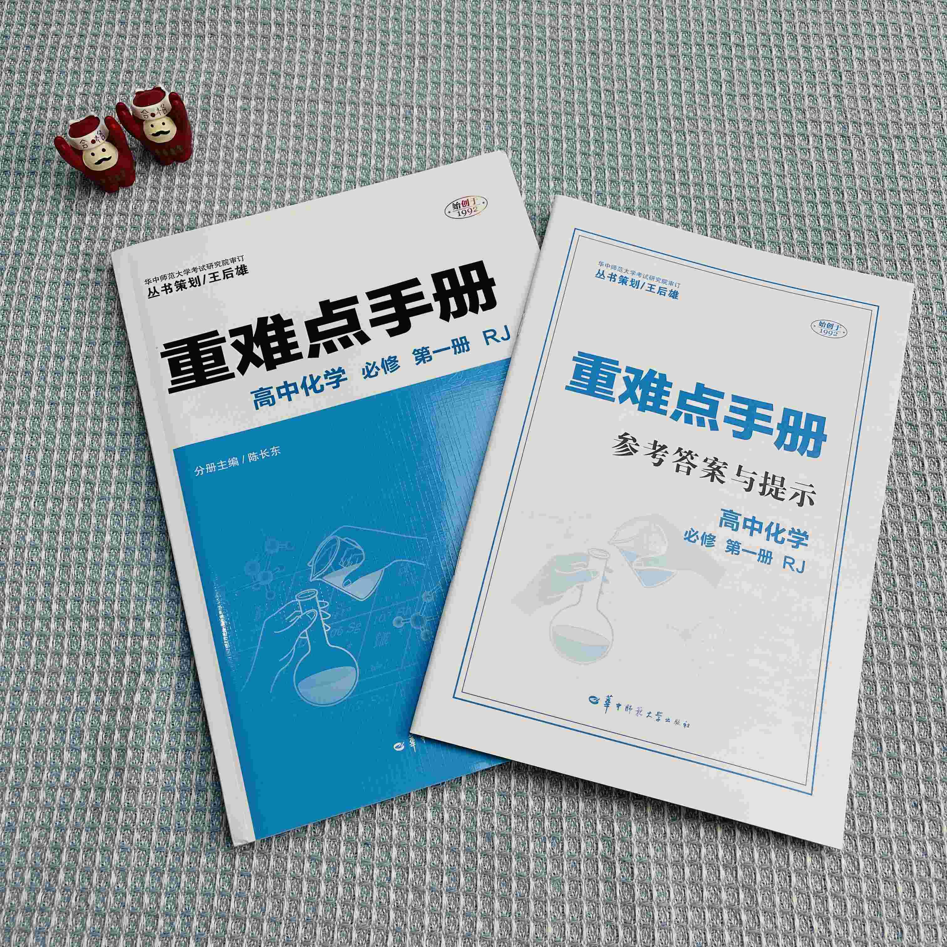 重难点手册 高中化学 必修 第一册 RJ
