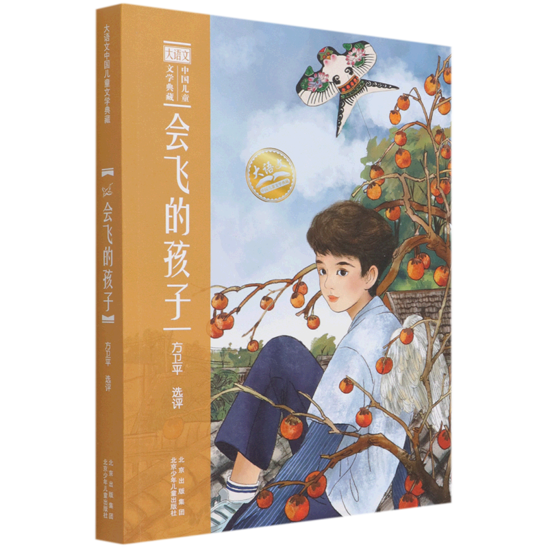 会飞的孩子/大语文中国儿童文学典藏